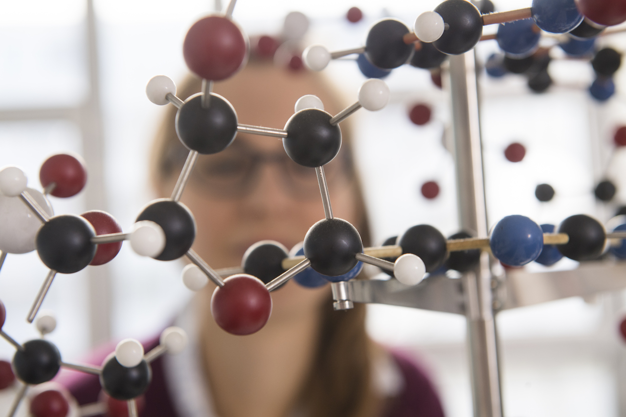 Model of DNA double helix in front of a student.